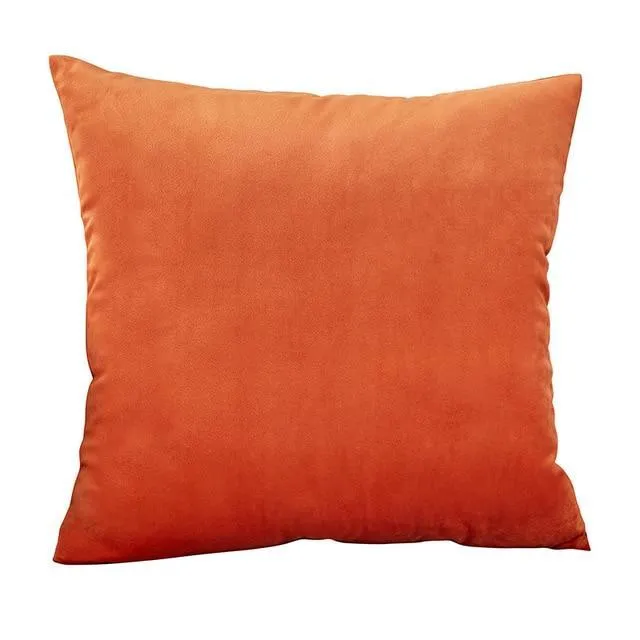 50*50 Cushion Cover Velvet Pillow For Living Room