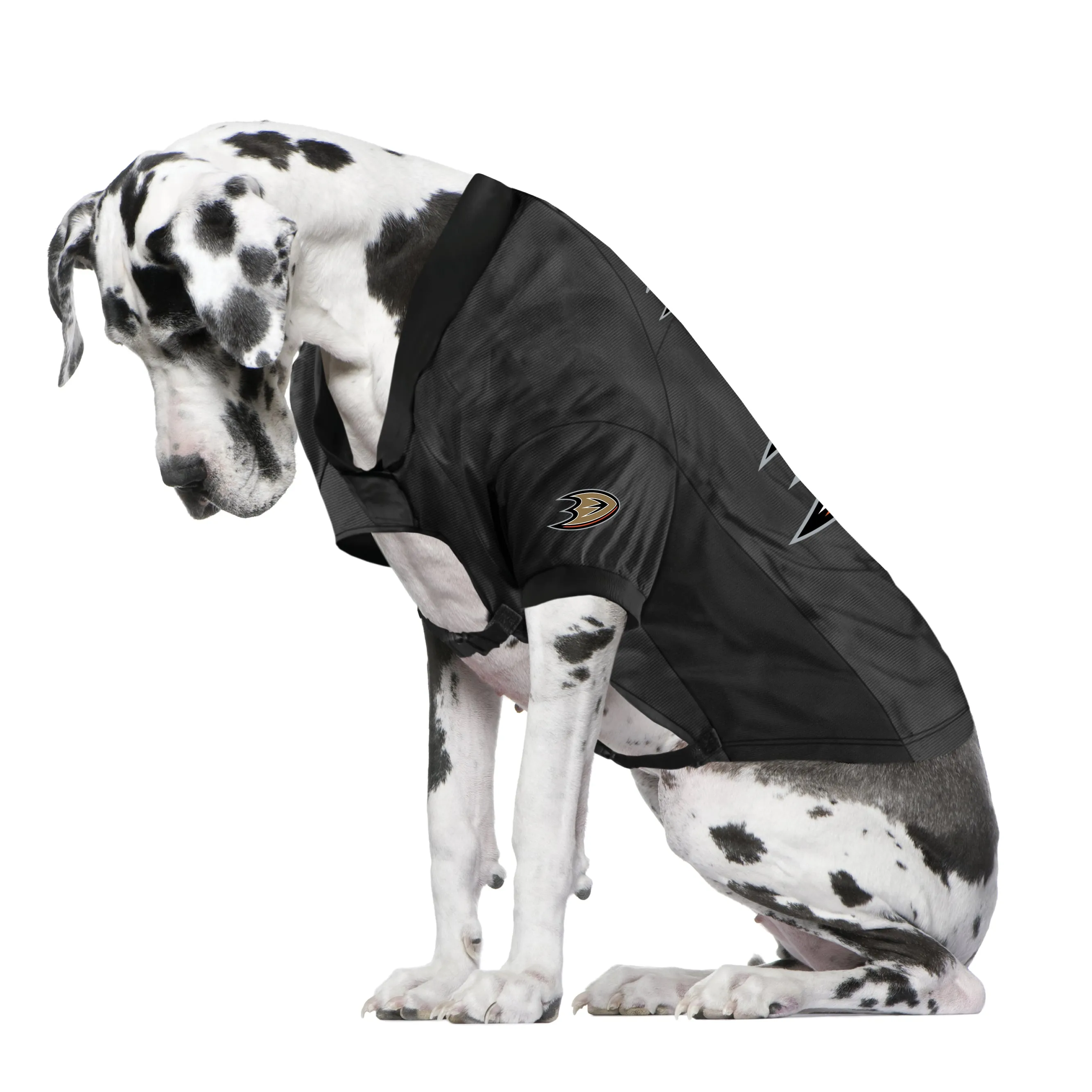 Anaheim Ducks Big Pet Stretch Jersey