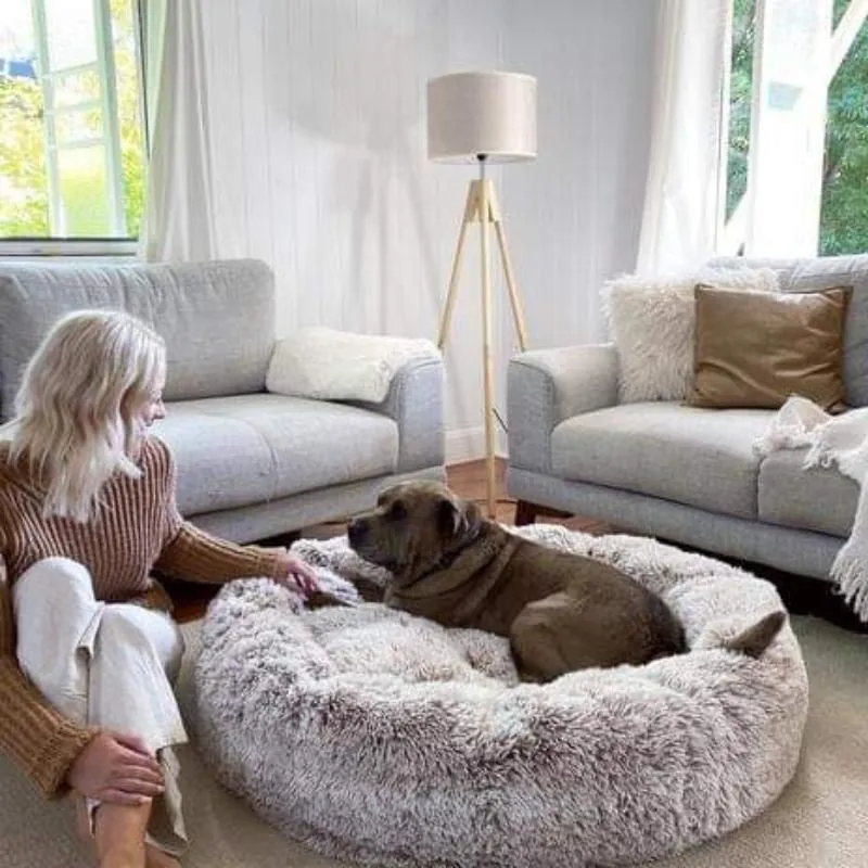 Anxiety Relieving Pet Bed