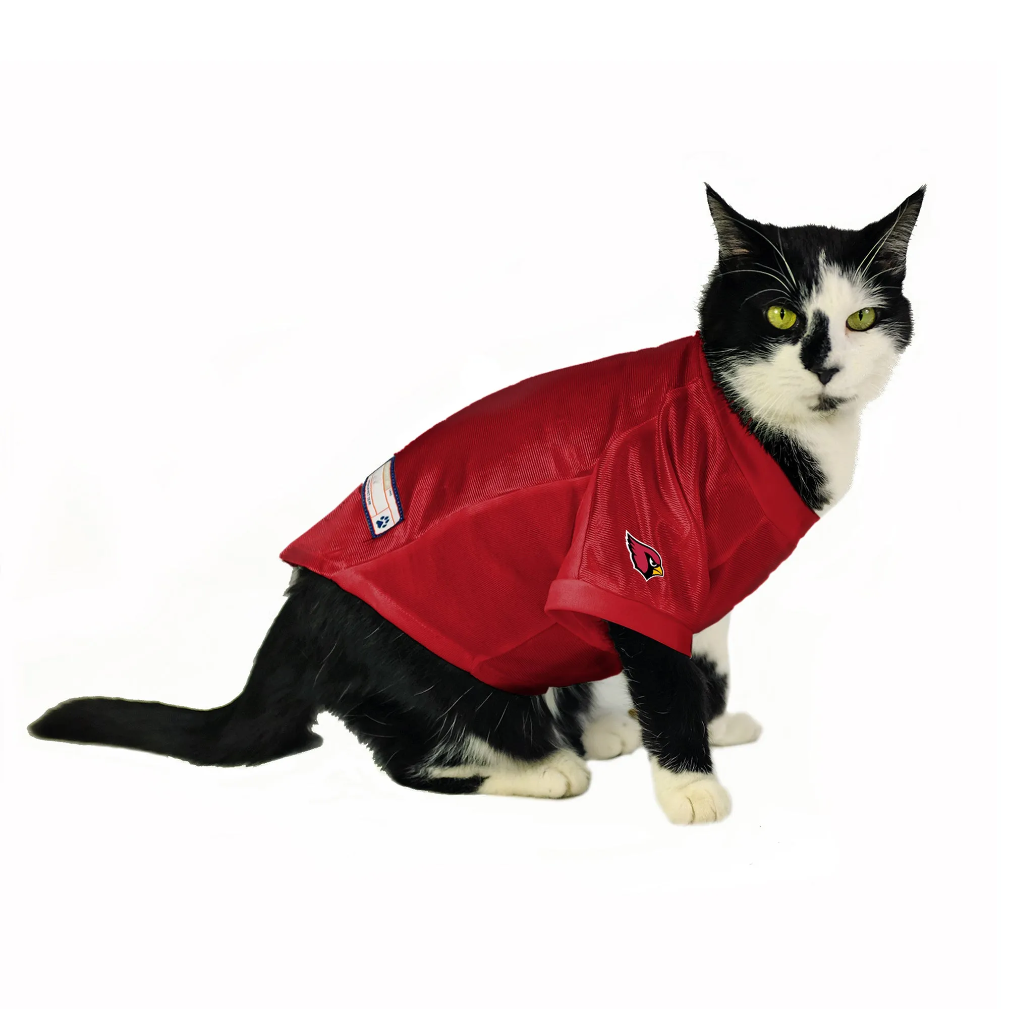 Arizona Cardinals Custom Pet Stretch Jersey