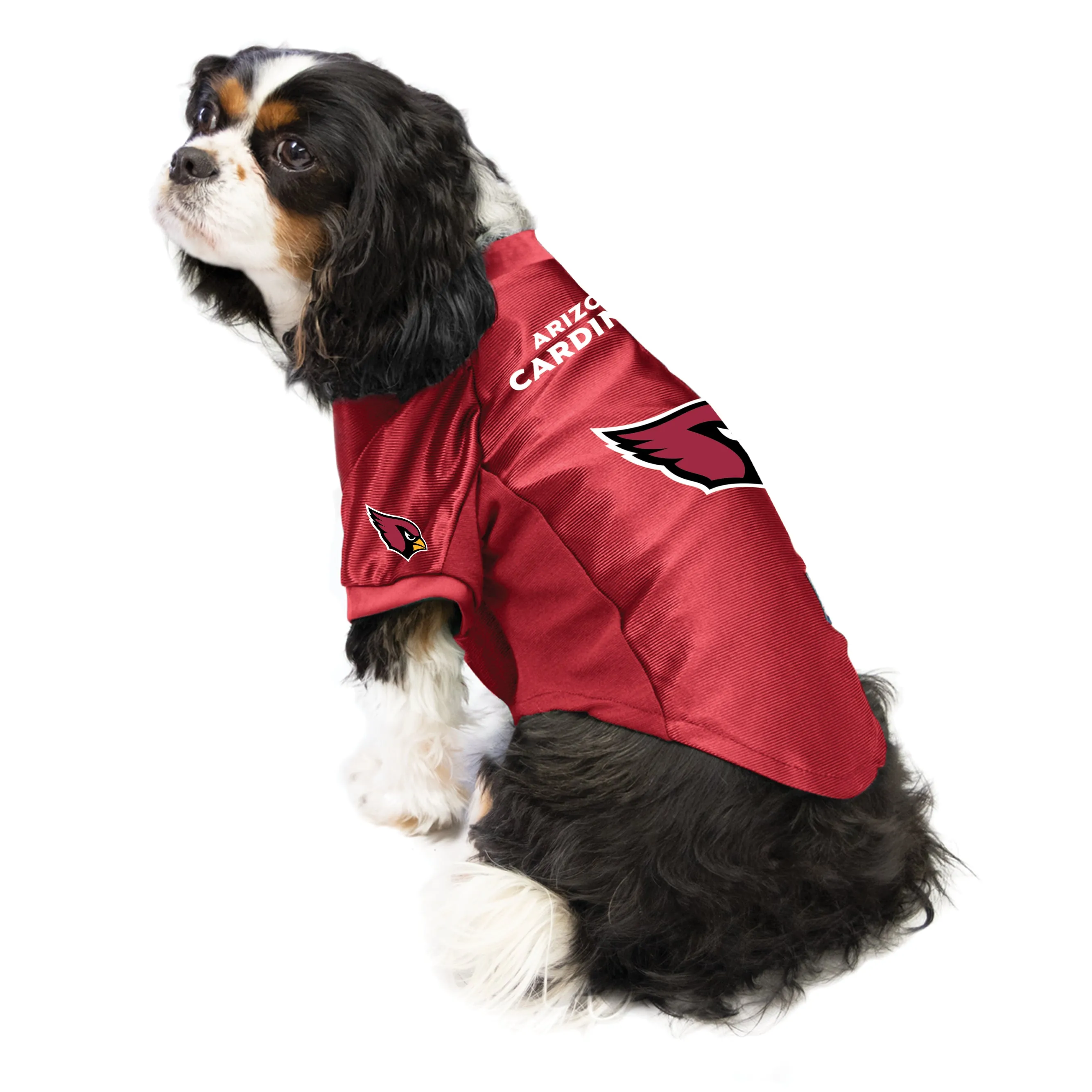 Arizona Cardinals Pet Stretch Jersey