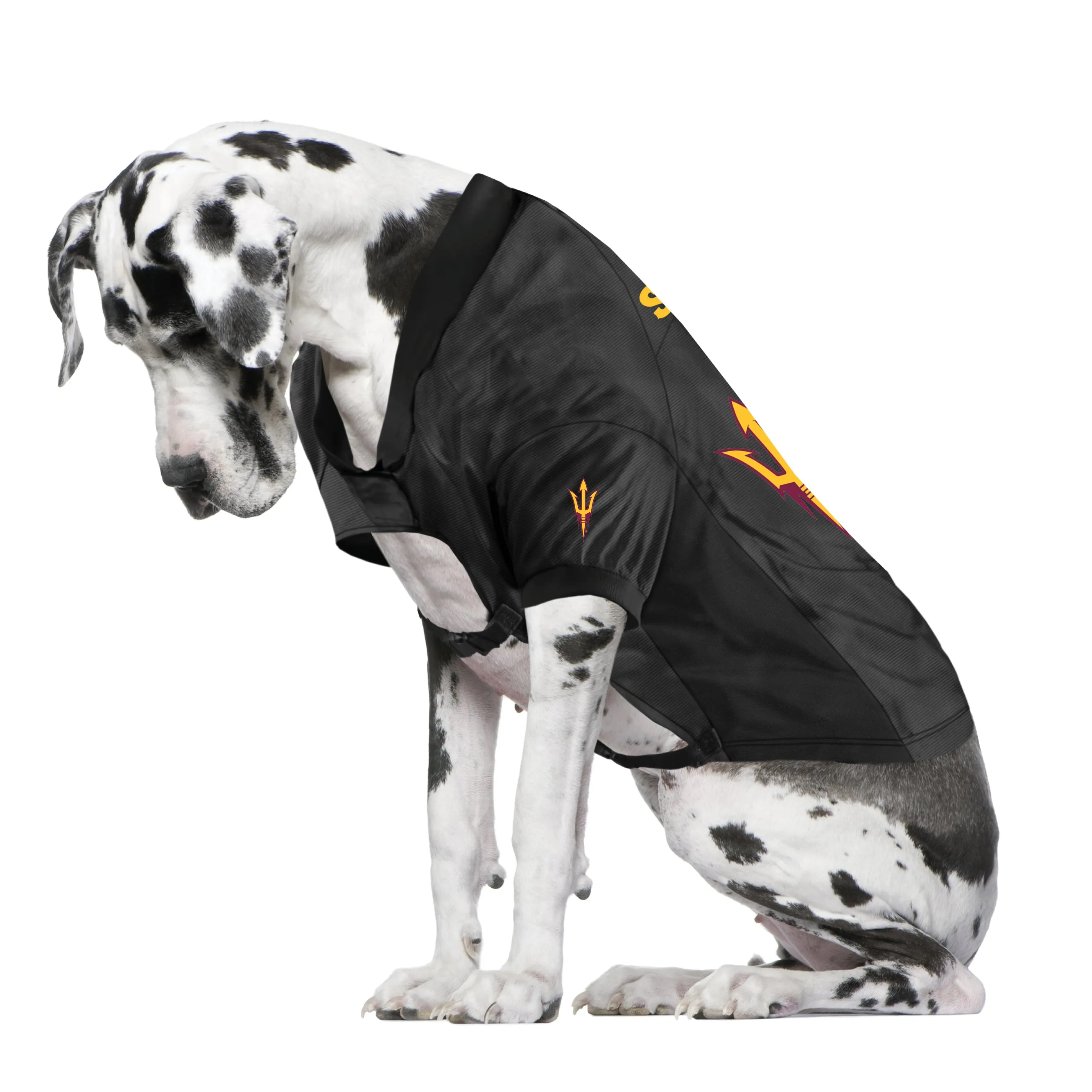 Arizona State University Big Pet Stretch Jersey