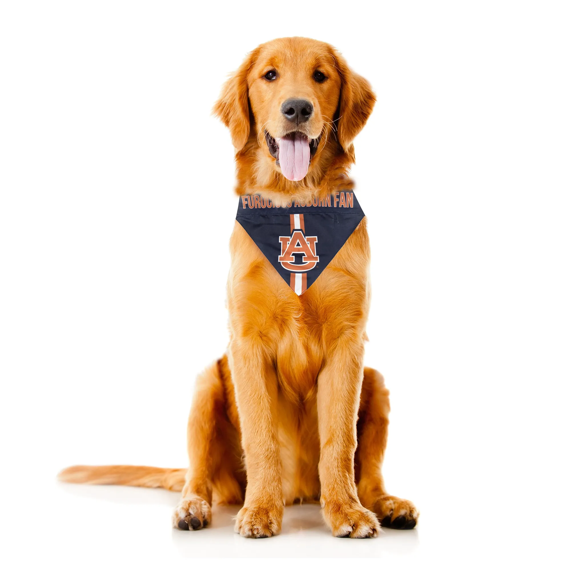 Auburn University Pet Bandana