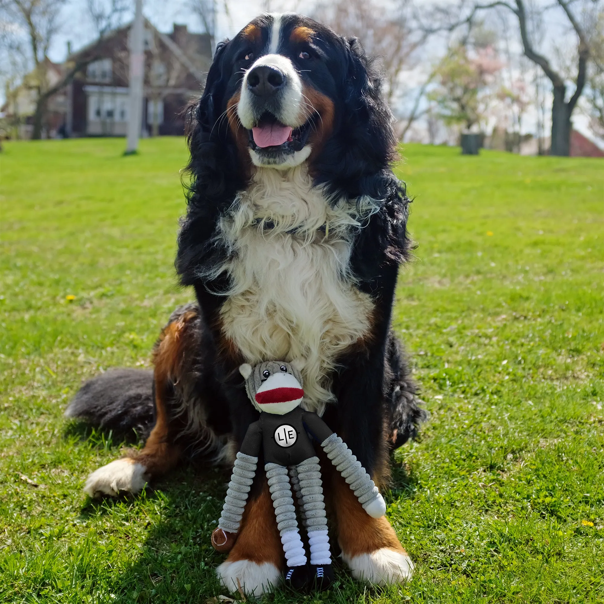 Baltimore Ravens Team Sock Monkey Pet Toy