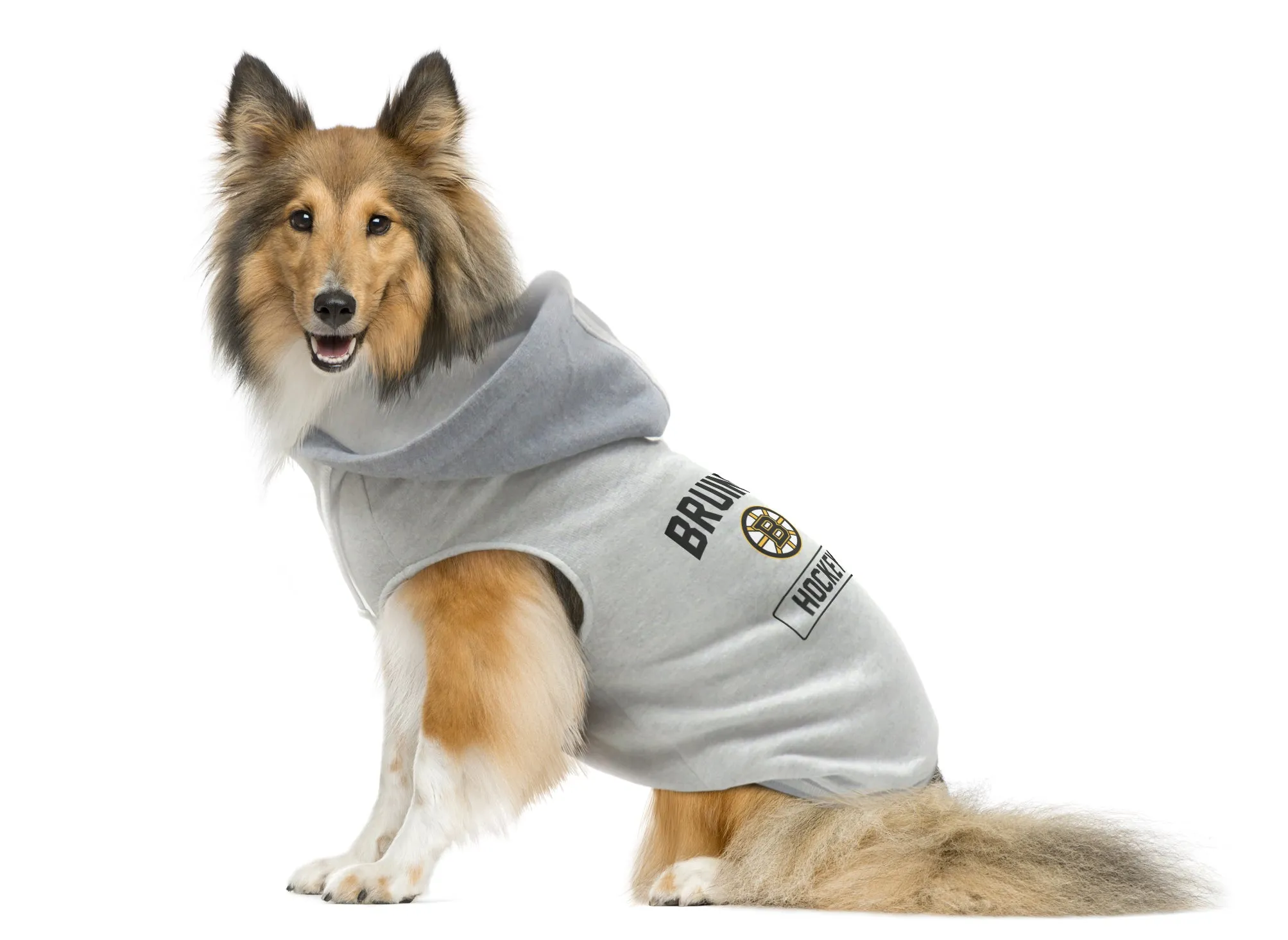 Boston Bruins Pet Hooded Crewneck Type