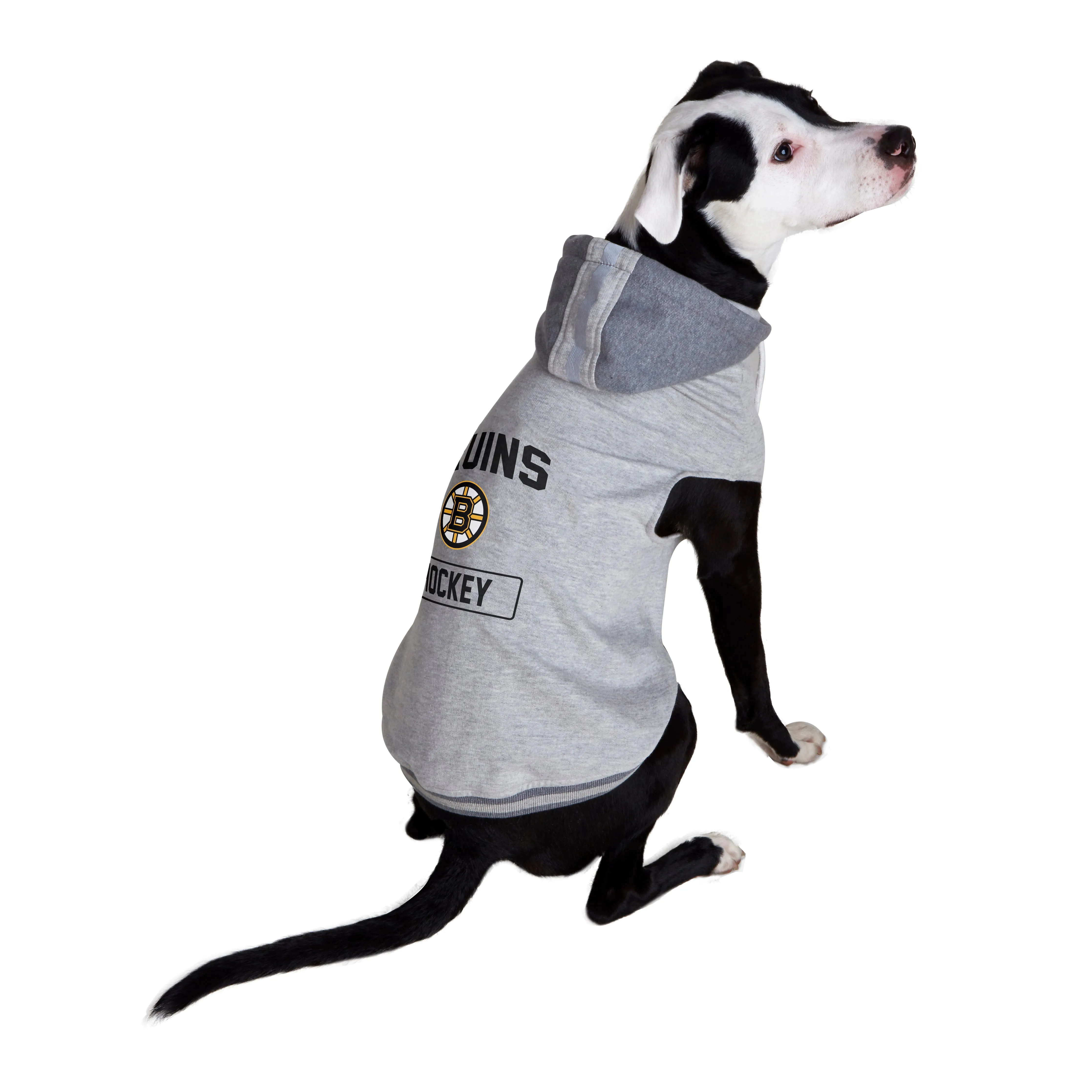 Boston Bruins Pet Hooded Crewneck Type