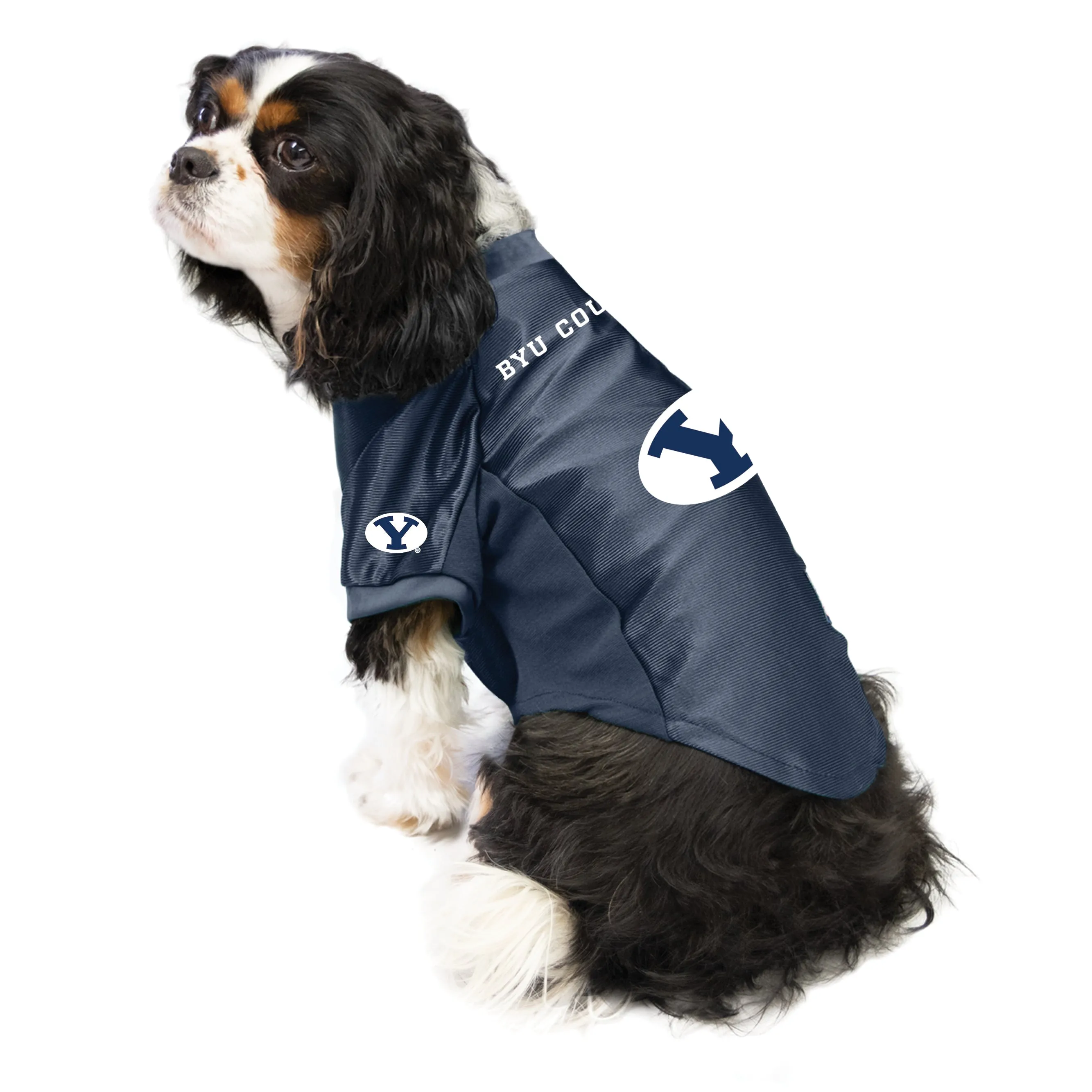 Brigham Young University Pet Stretch Jersey