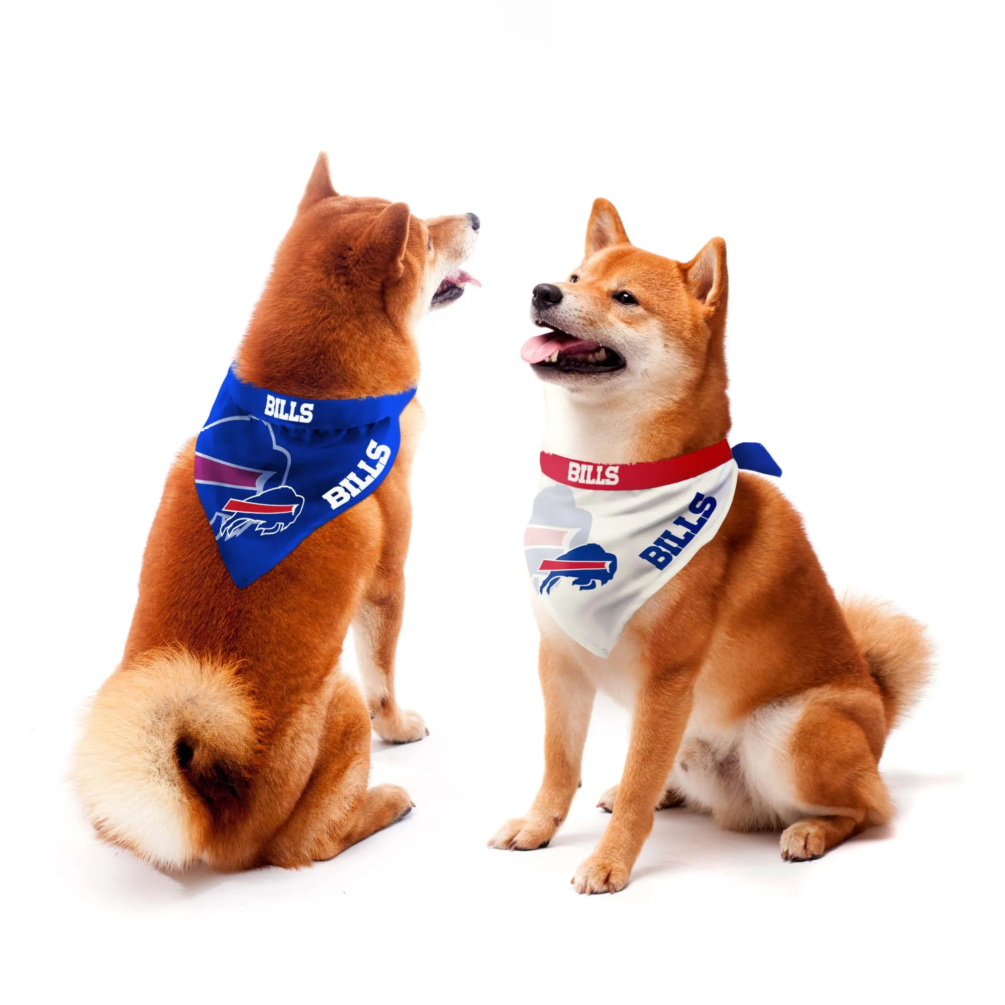 Buffalo Bills Home and Away Pet Bandana Set