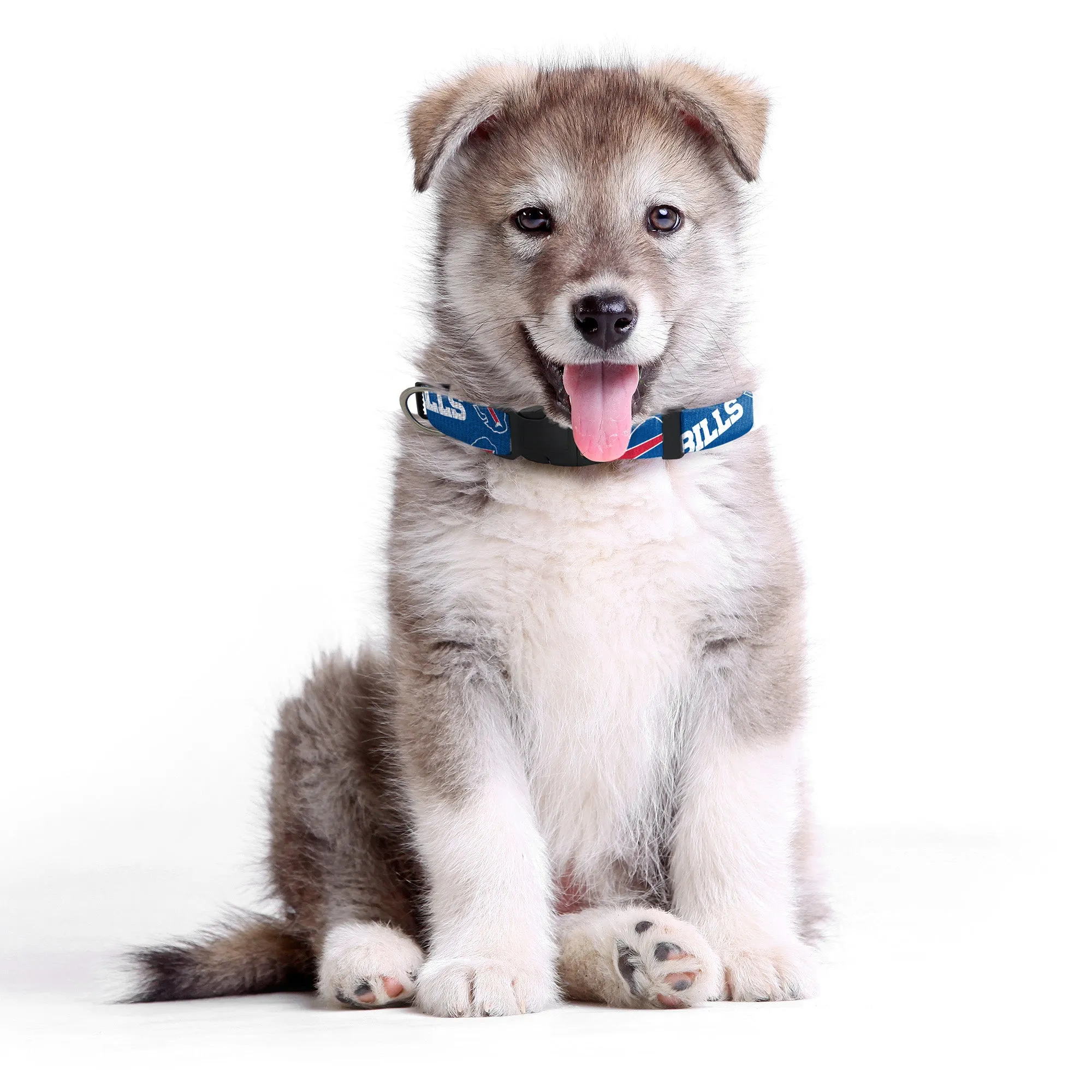 Buffalo Bills Pet Team Collar