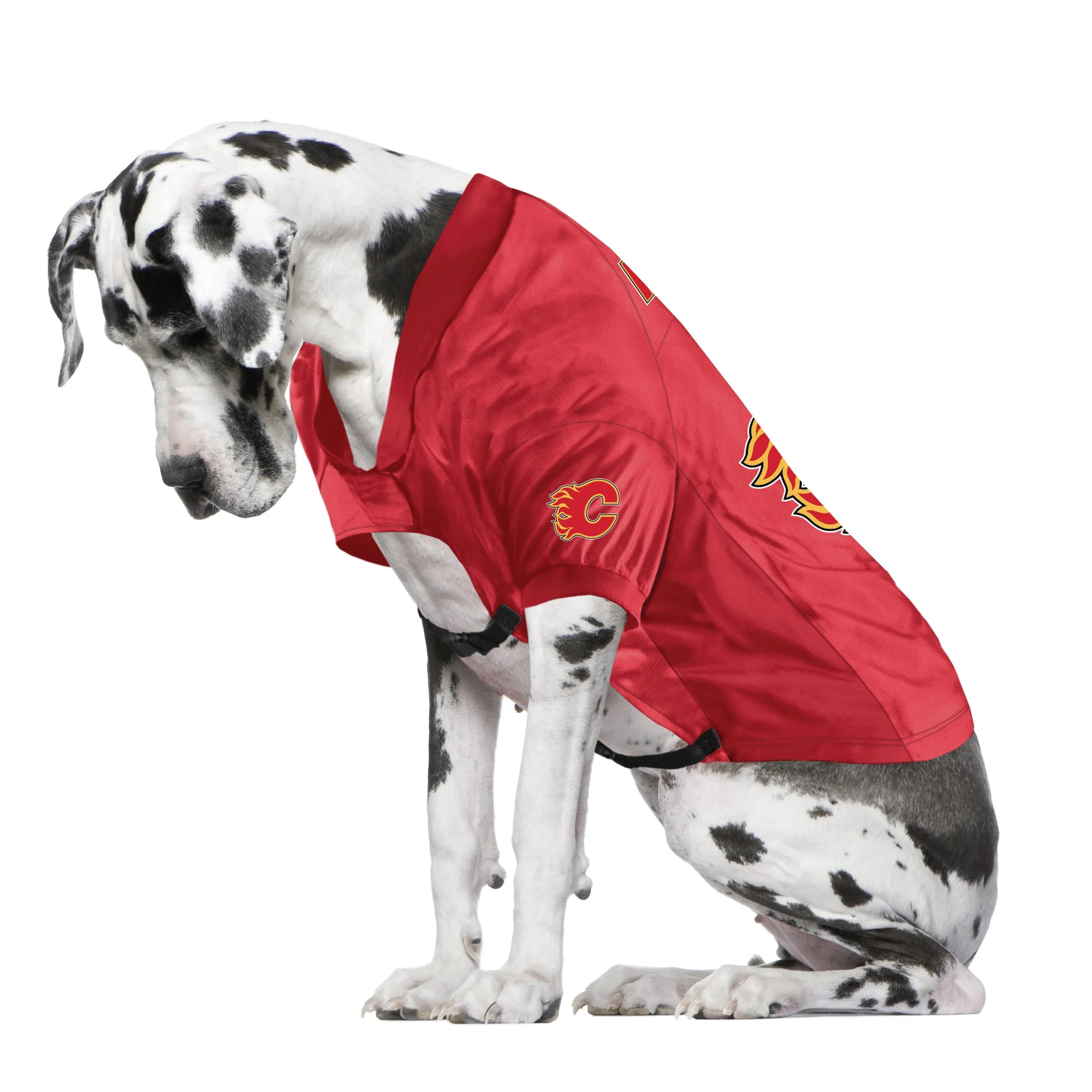 Calgary Flames Big Pet Stretch Jersey