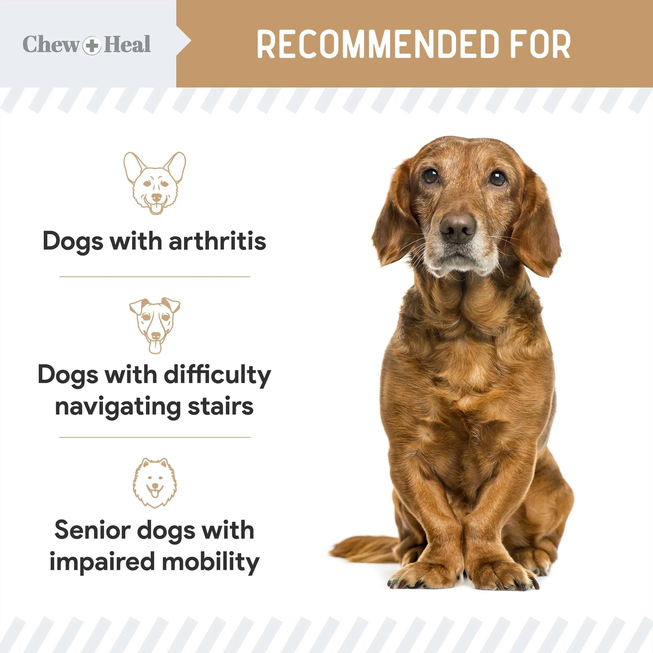 Chew   Heal Glucosamine for Senior Dogs Hip and Joint - 120 Peanut Butter Flavor Soft Chews