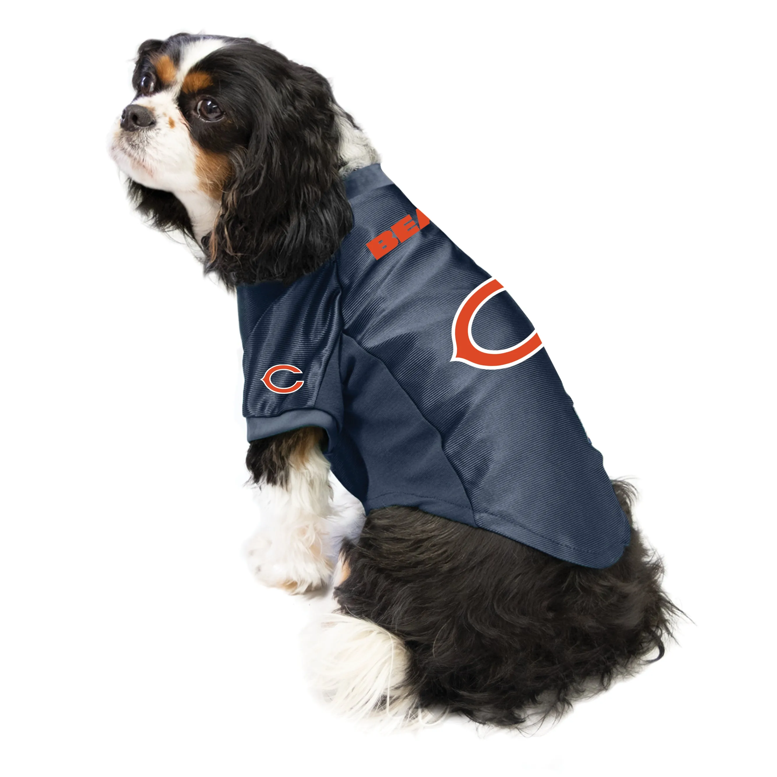 Chicago Bears Pet Stretch Jersey