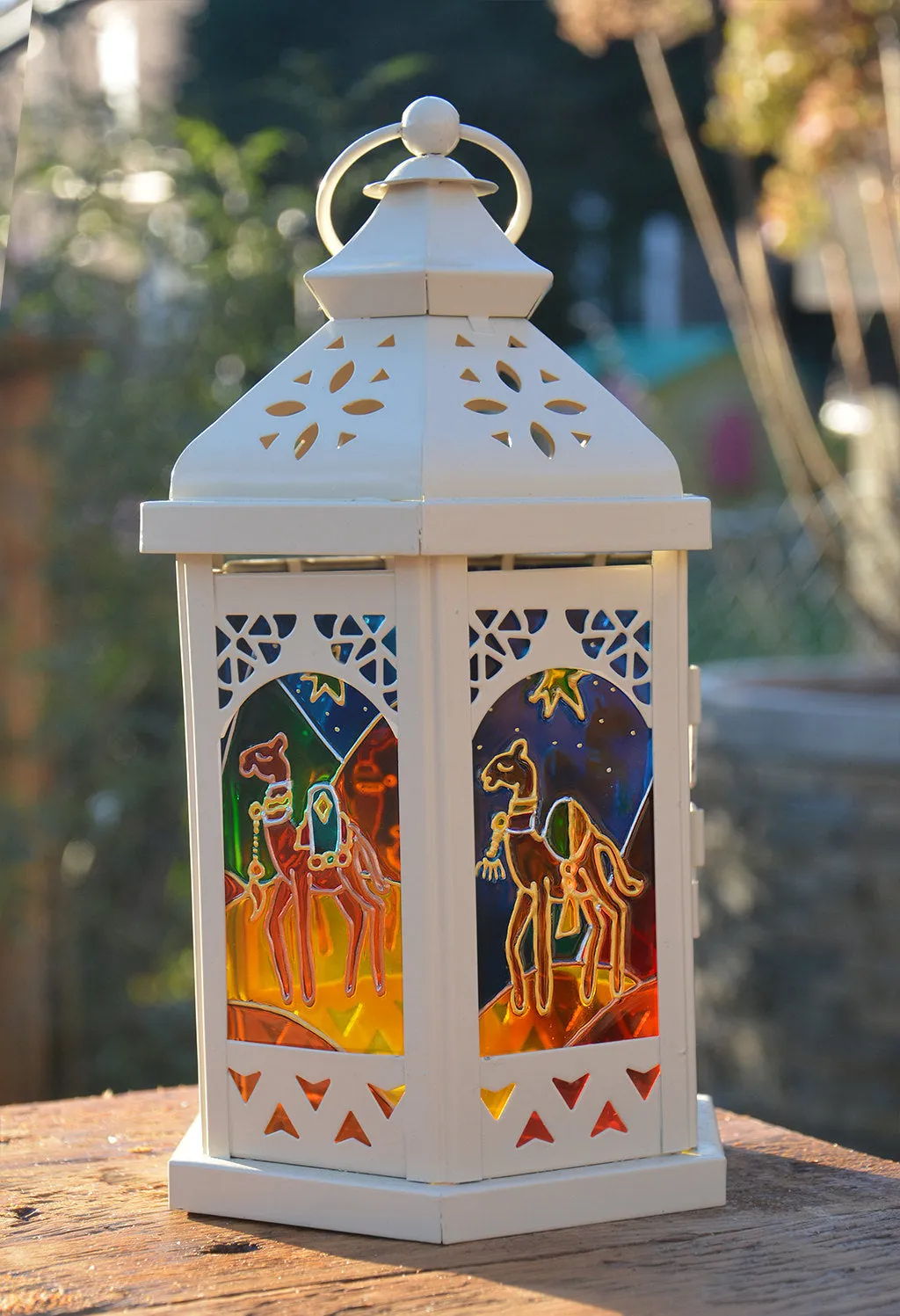 Christmas Camels Lantern