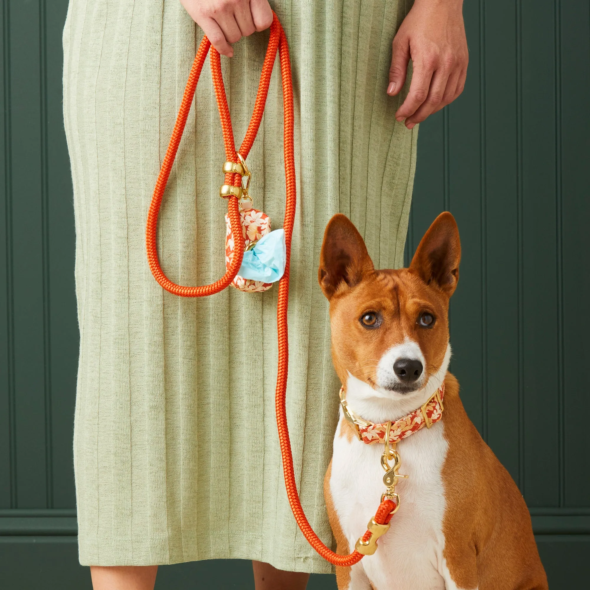 Cider Marine Rope Dog Leash