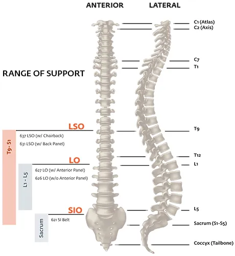 EXOS Form Back Bracing Support II 626