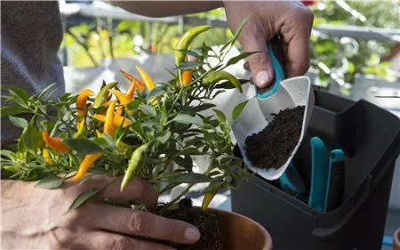 Gardena City Gardening Balcony Box