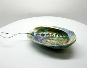 Natural Baby Paua Shell Christmas Ornament