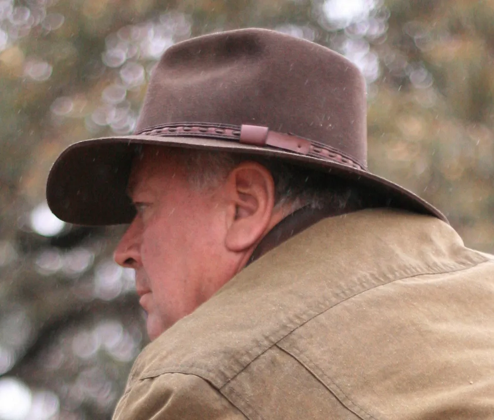 Taree Hat in Brown Wool Felt