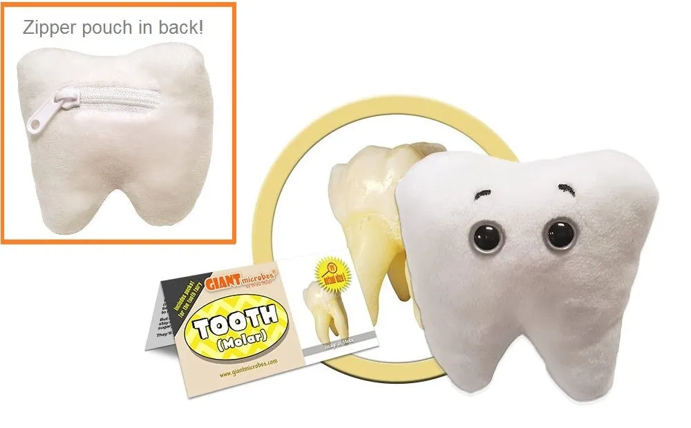 Tooth (Molar) Plush Toy with Zippered Pocket by Giantmicrobes